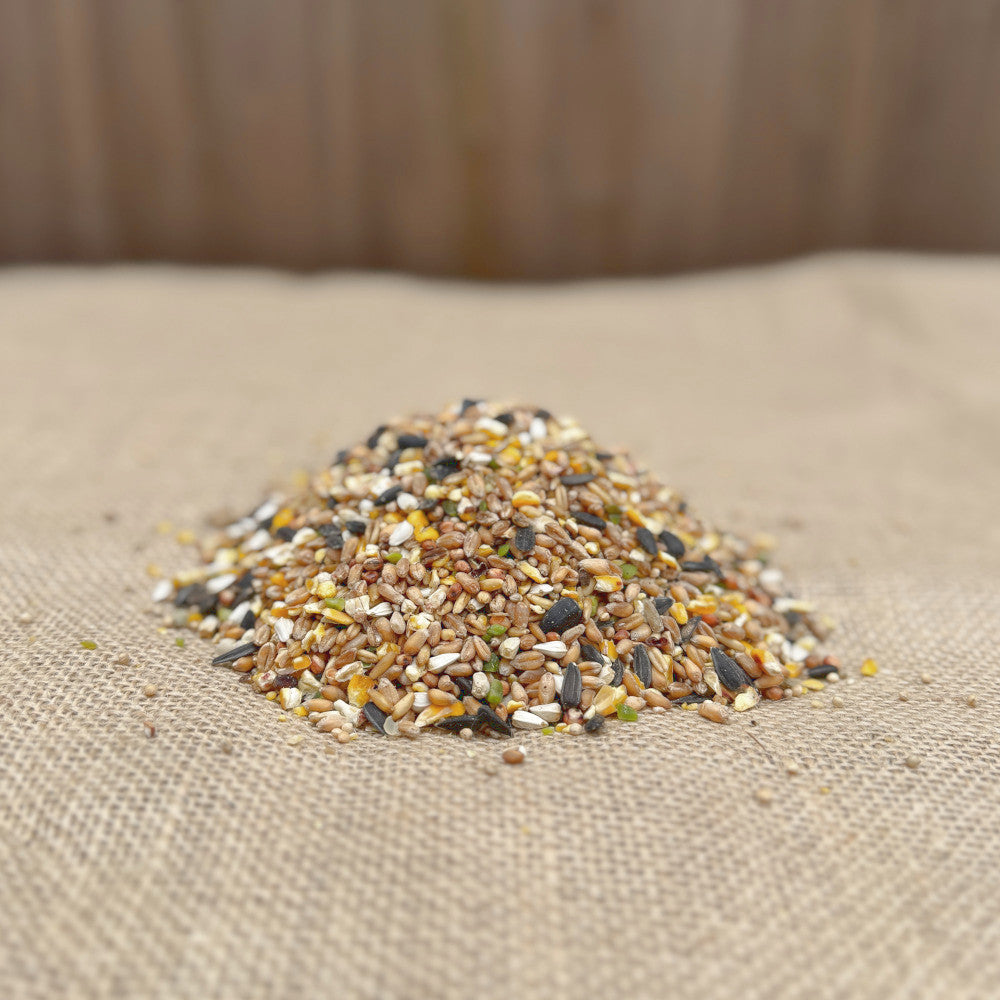 Classic Seed Mix