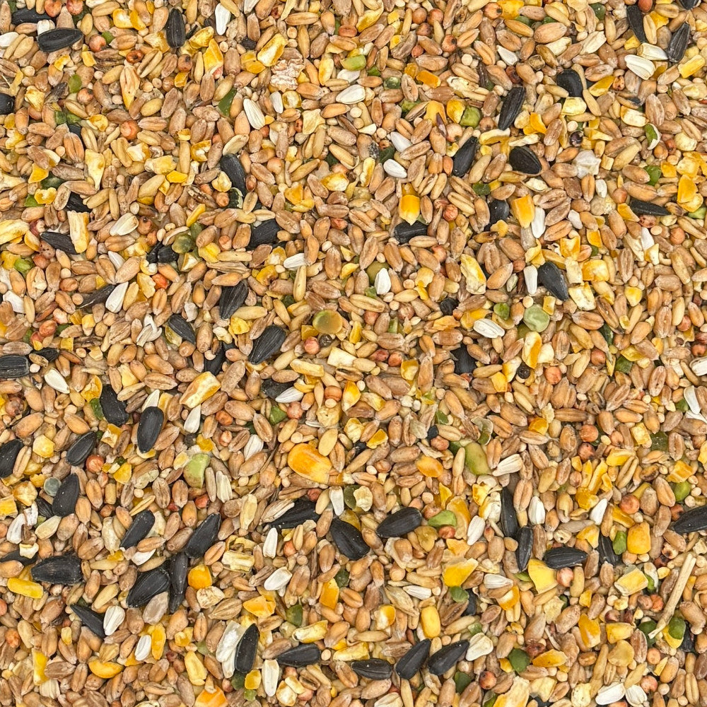 Classic Seed Mix