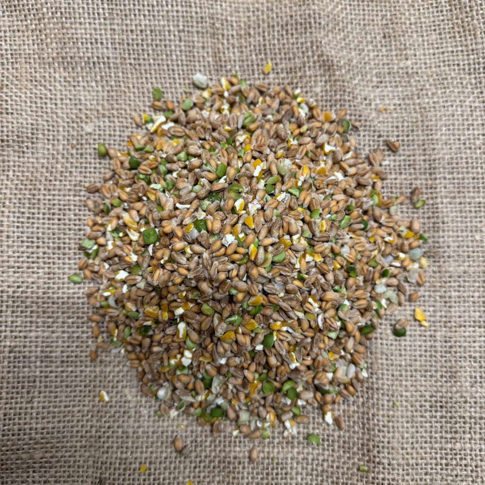Duck & Swan Seed Mix