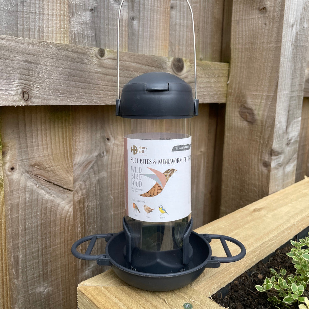 Henry Bell Essential Suet Pellets & Mealworms Feeder