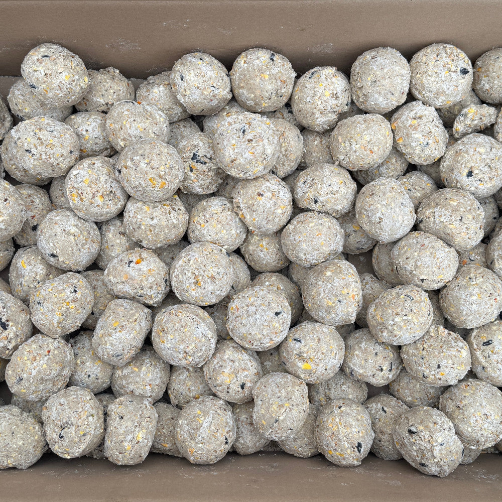Premium Fat Balls