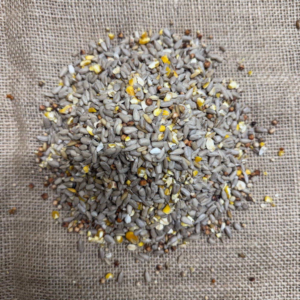 No Mess Seed Mix