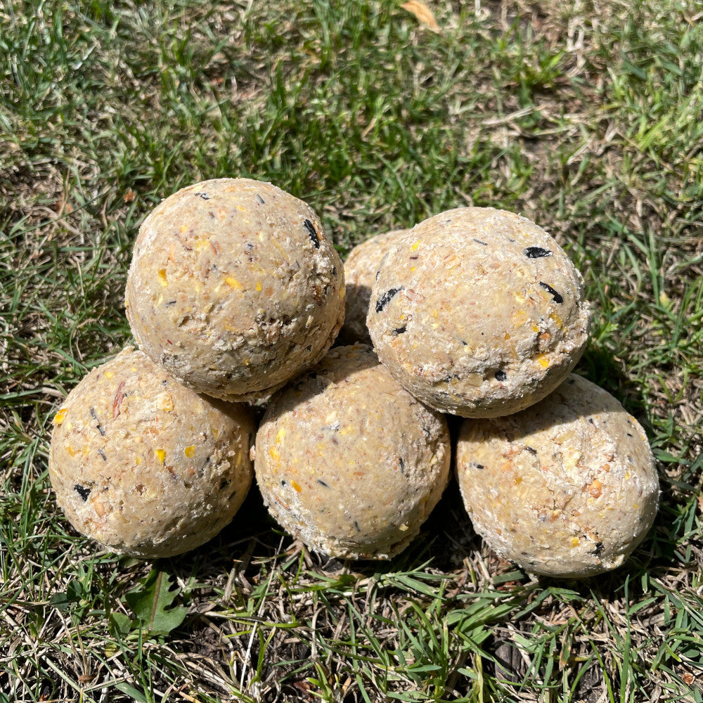 Premium Fat Balls - Premium Fat Balls & Suet  - Just £1.10! Shop now at Gala Wildlife