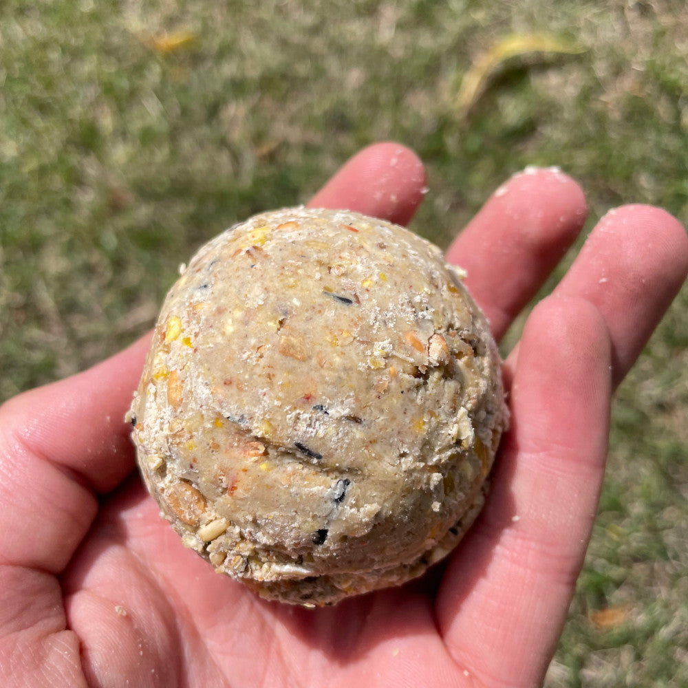 Premium Fat Balls - Premium Fat Balls & Suet - Just £1.10! Shop now at Gala Wildlife