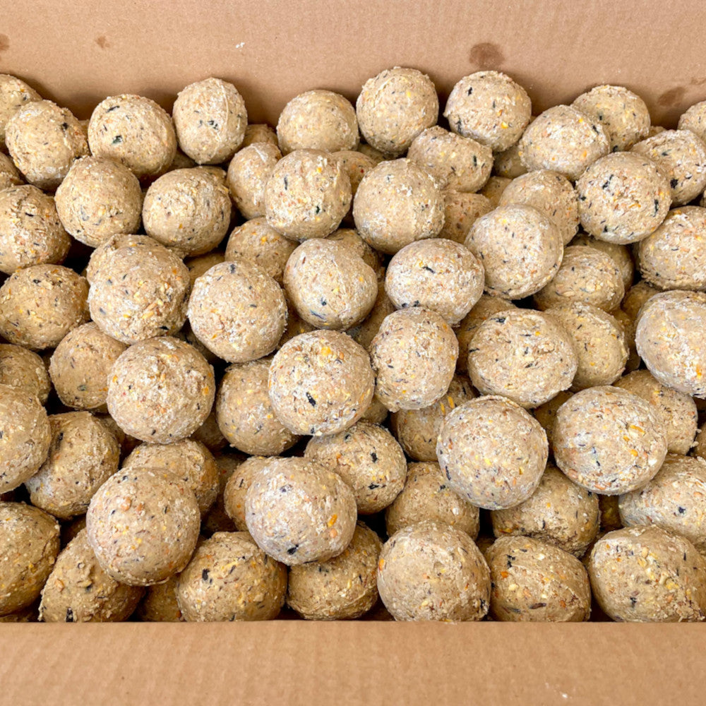 Premium Fat Balls - Premium Fat Balls & Suet - Just £1.10! Shop now at Gala Wildlife