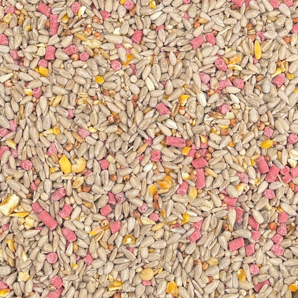 Premium Seed Mix