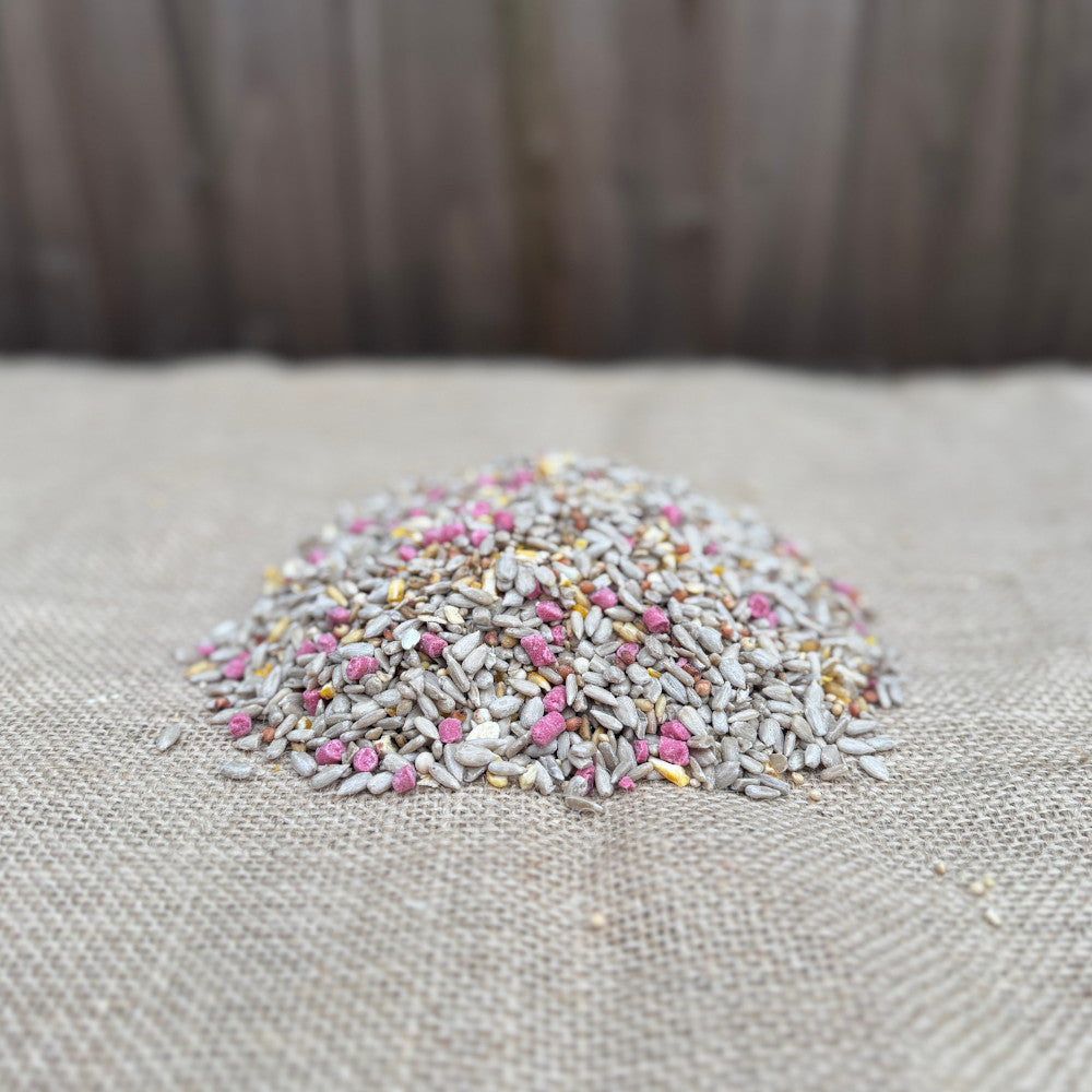Premium Seed Mix
