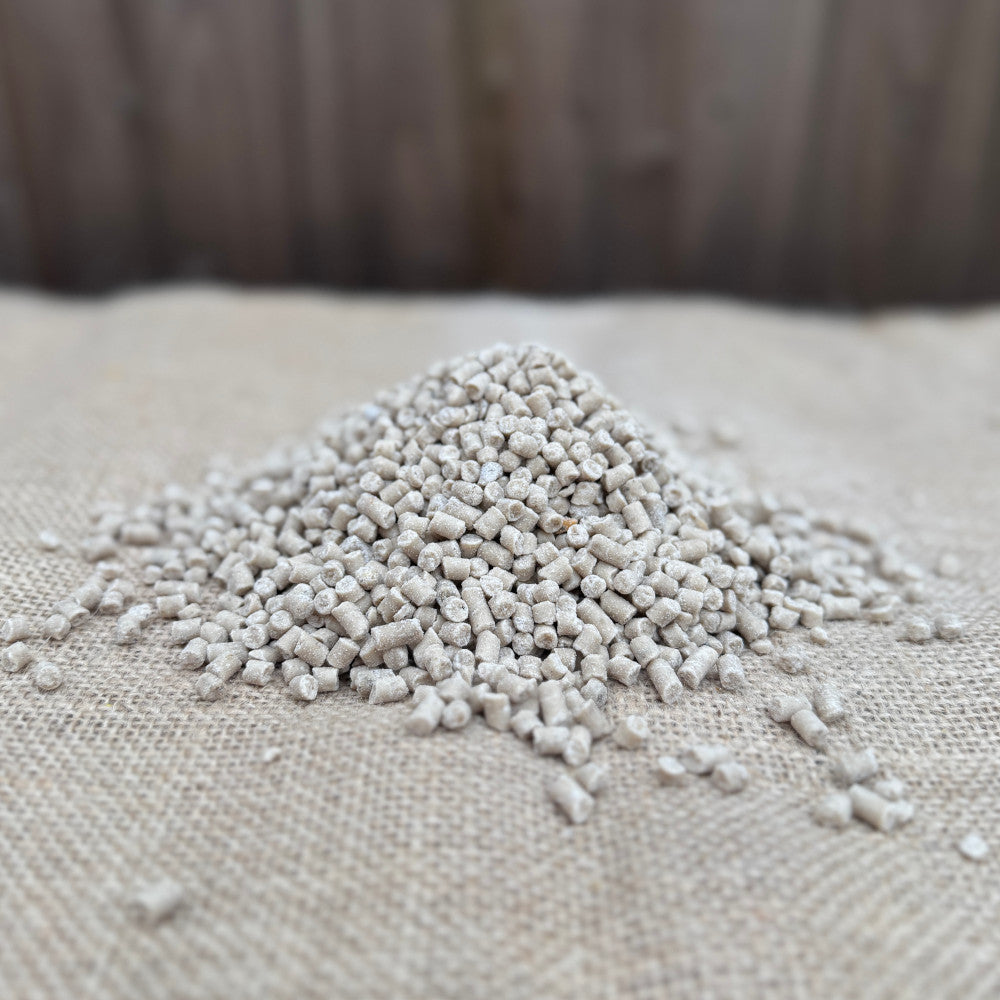 Winston Wilds Finest Berry Suet Pellets 3kg