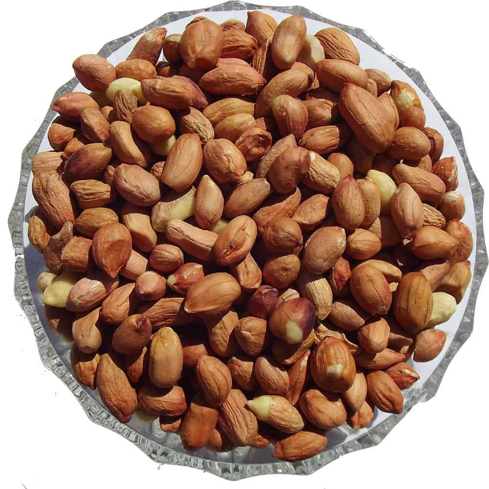 Premium Peanuts - Premium Straight Foods - Just £2.60! Shop now at Gala Wildlife