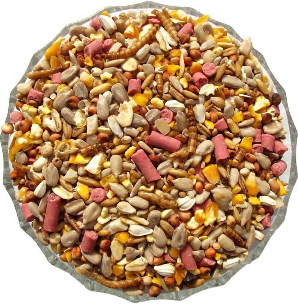 Bird deals food shop