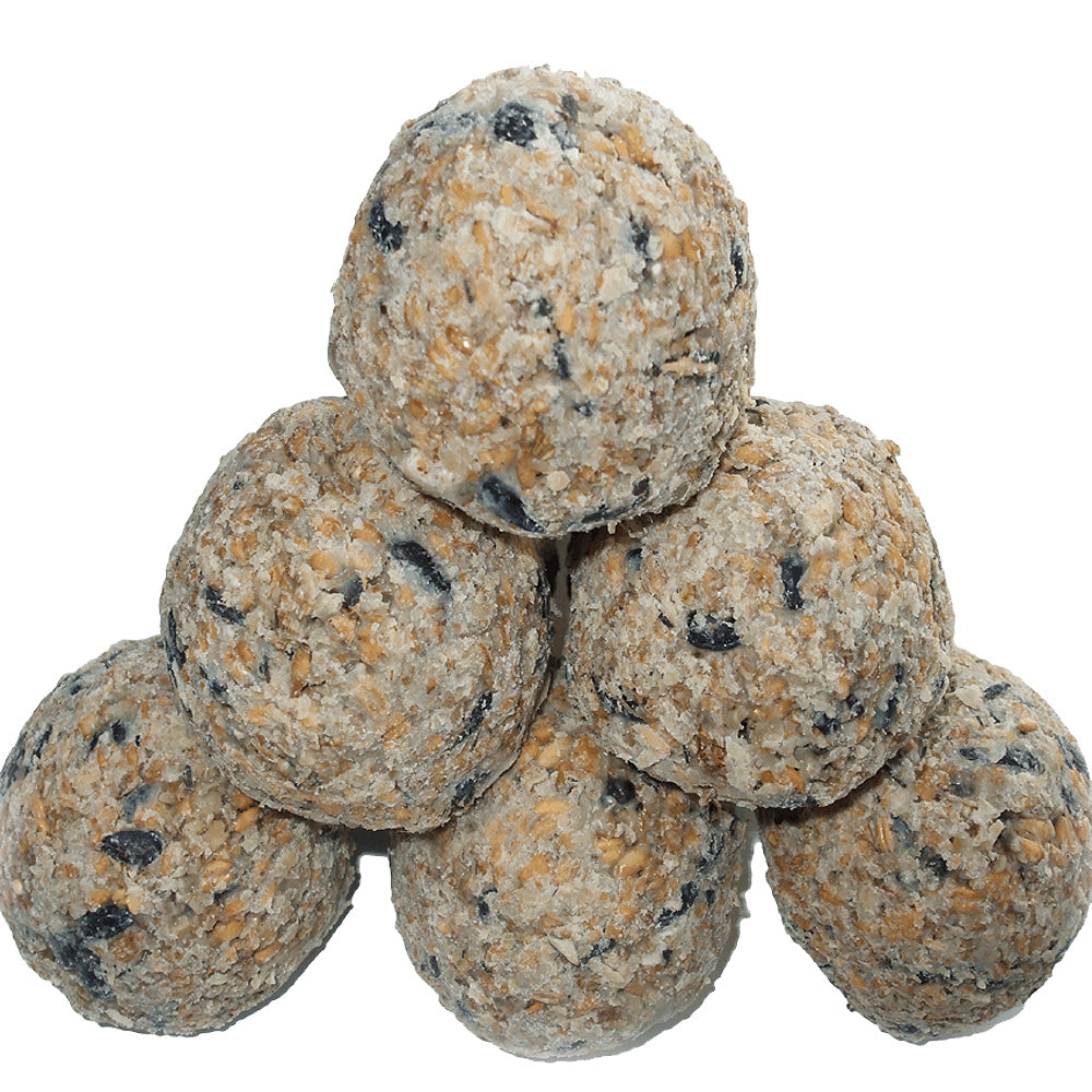 Fat Balls & Suet High Energy Suet For Birds Gala Wildlife