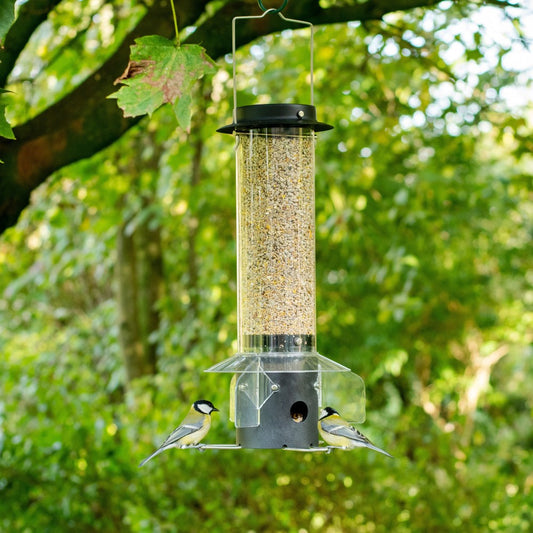 Brilliant squirrel proof high capacity seed feeders with 3 perches