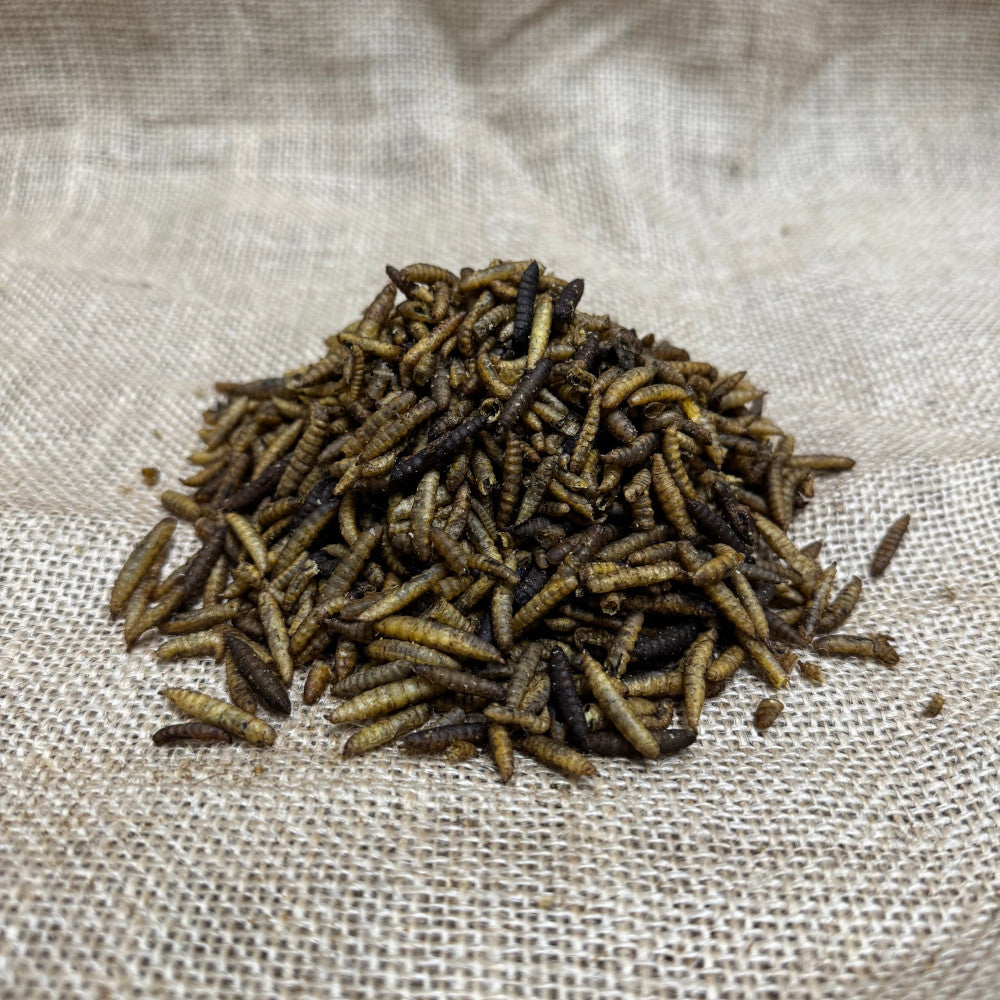 Dried Calciworms