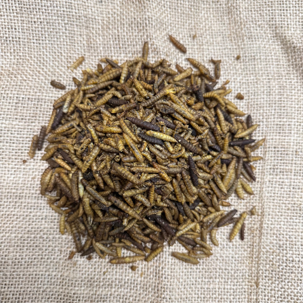 Dried Calciworms