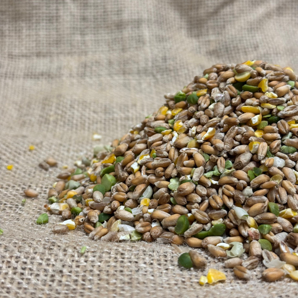 Duck & Swan Seed Mix