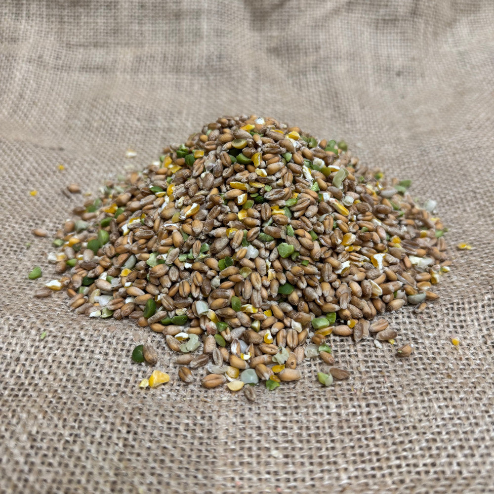 Duck & Swan Seed Mix