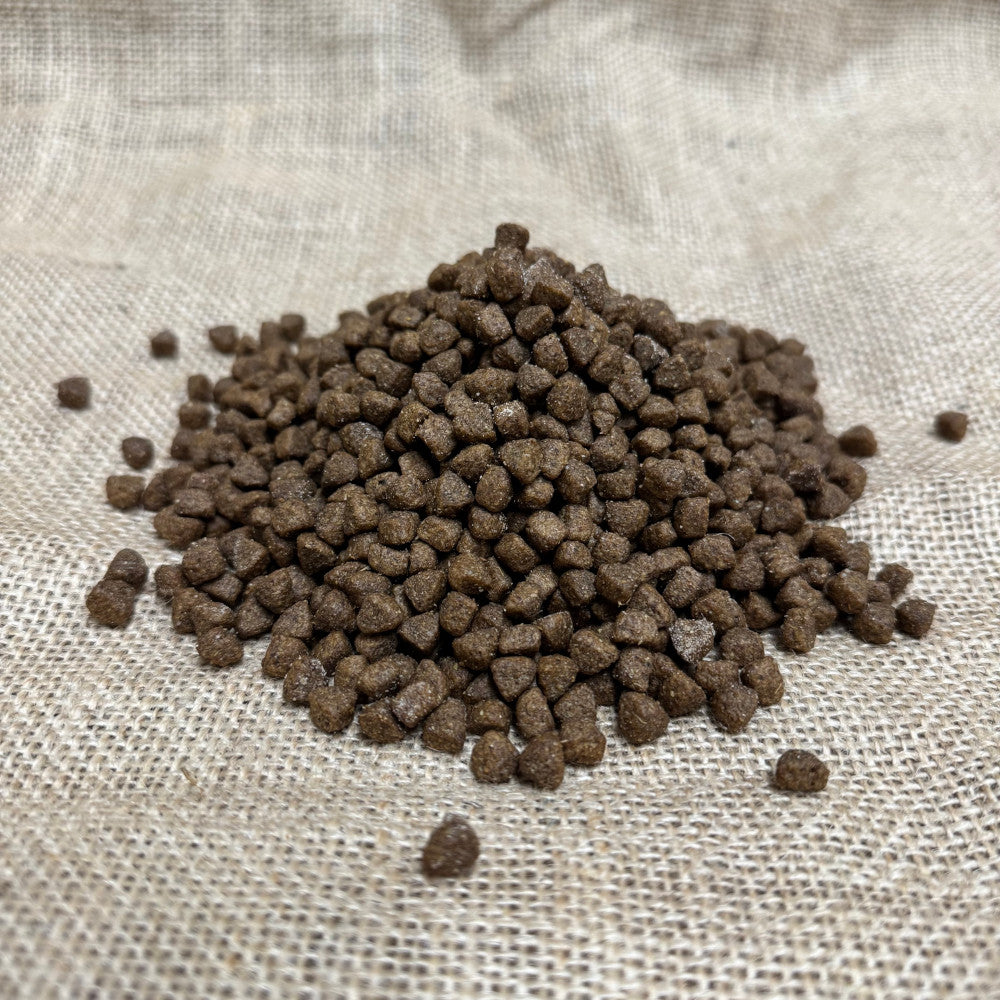 Hedgehog Complete Meal