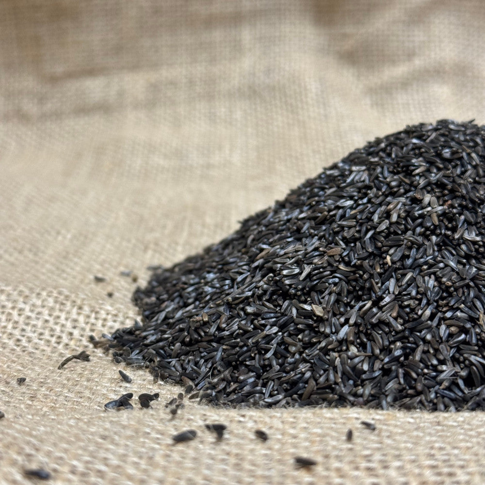 Niger Seeds