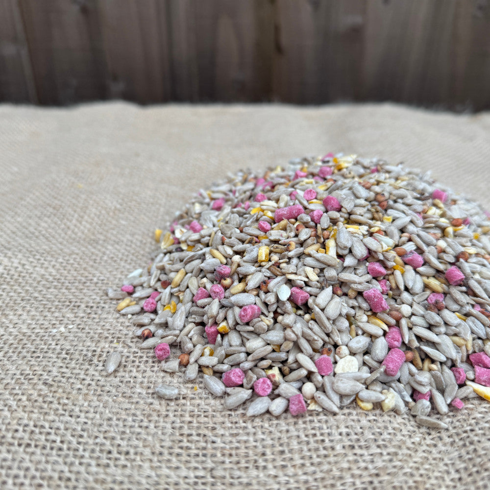 Premium Seed Mix