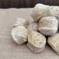 Insect Suet Balls