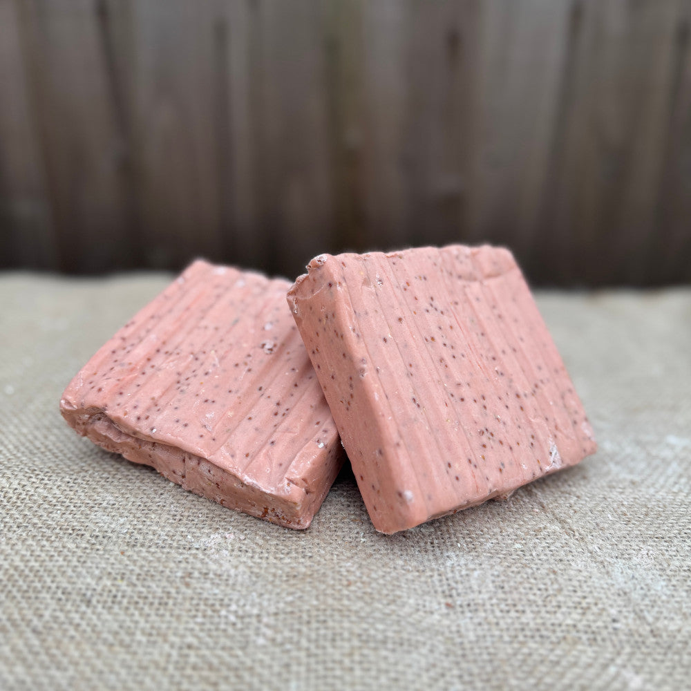 Suet Blocks