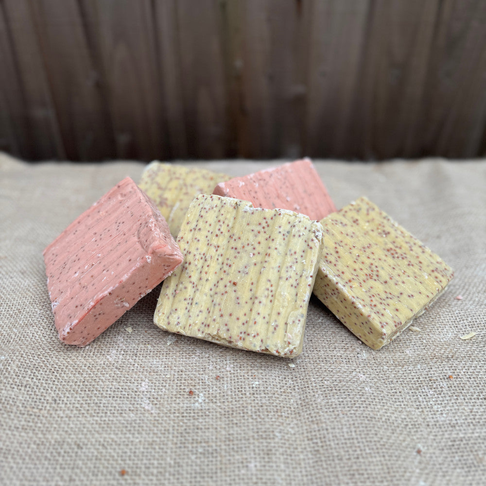 Suet Blocks