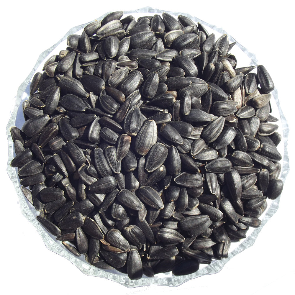 Black Sunflower Seeds - Premium Straight Foods  - Just £2.10! Shop now at Gala Wildlife
