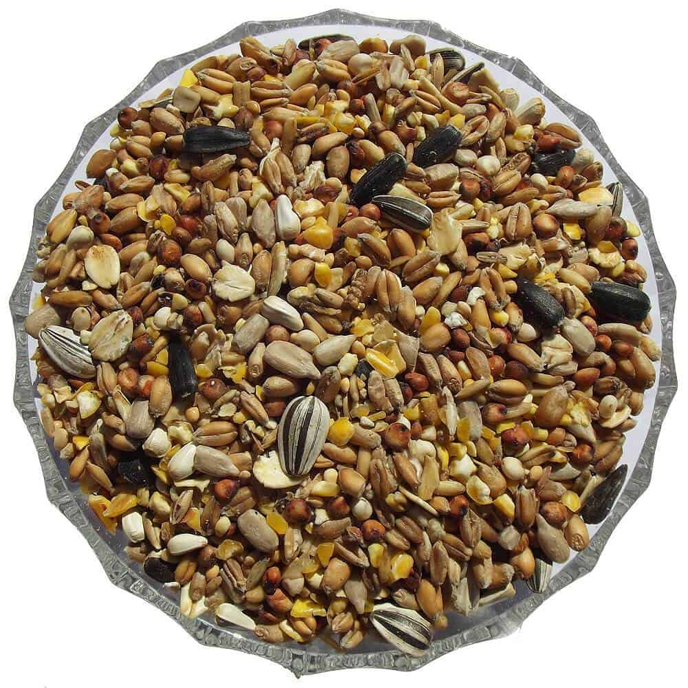 Deluxe Seed Mix - Premium Seed Mixes  - Just £1.60! Shop now at Gala Wildlife