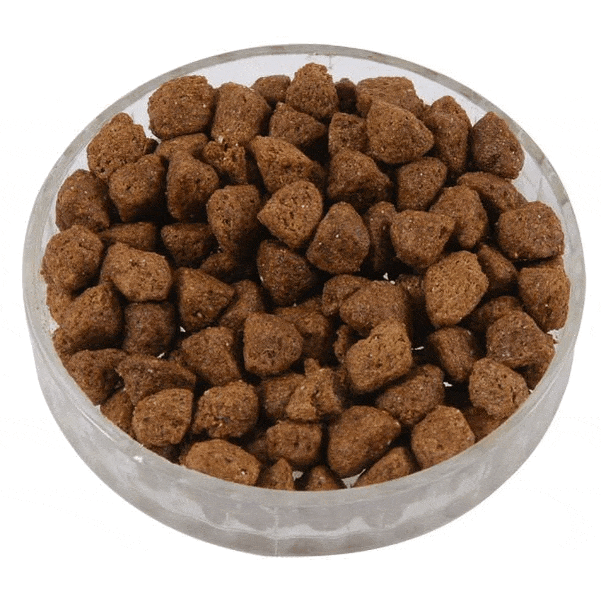 Hedgehog Dried Meal (wholesale) - Premium Wholesale  - Just £12.60! Shop now at Gala Wildlife