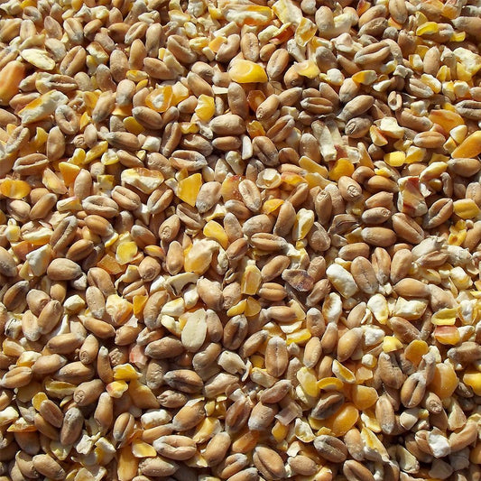 Waterfowl Mixed Corn (wholesale) - Premium Wholesale  - Just £13.40! Shop now at Gala Wildlife