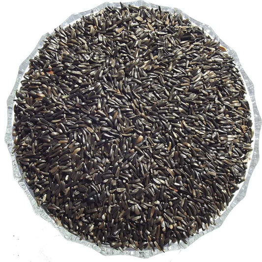 Niger Seeds (Nyjer) - Premium Straight Foods  - Just £3.10! Shop now at Gala Wildlife