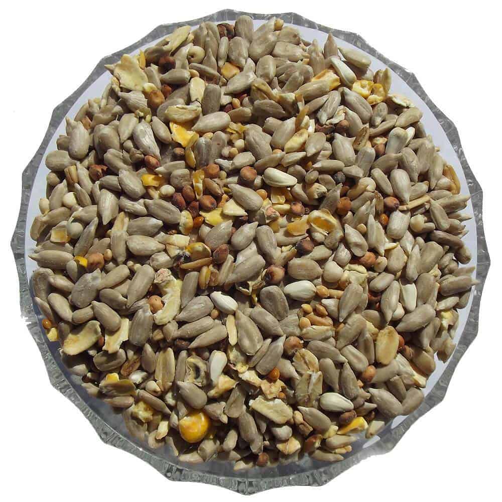 No Mess Bird Seed Mix - Premium Seed Mixes  - Just £2.10! Shop now at Gala Wildlife